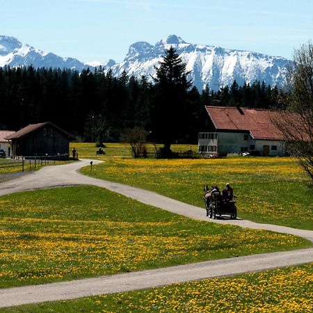 Apartamento Haus Allgaeu Ruh Görisried Habitación foto