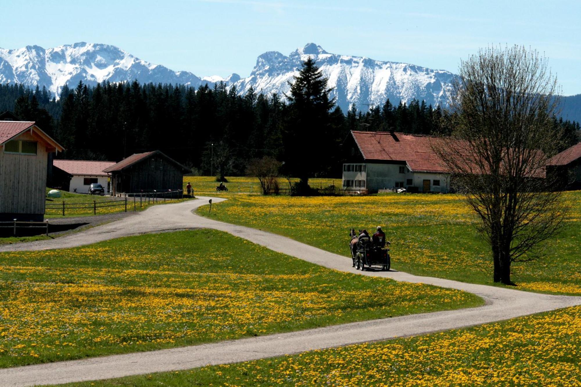 Apartamento Haus Allgaeu Ruh Görisried Habitación foto